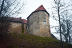grafika